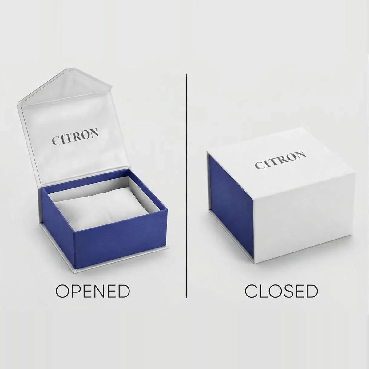 Citron premium watch box packaging, opened and closed